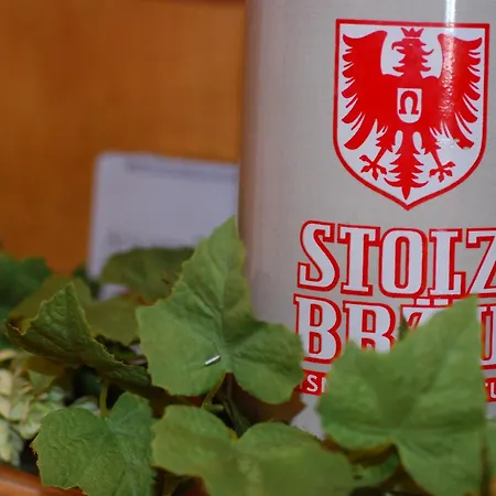 호텔 Brauereigasthof Engel 3*